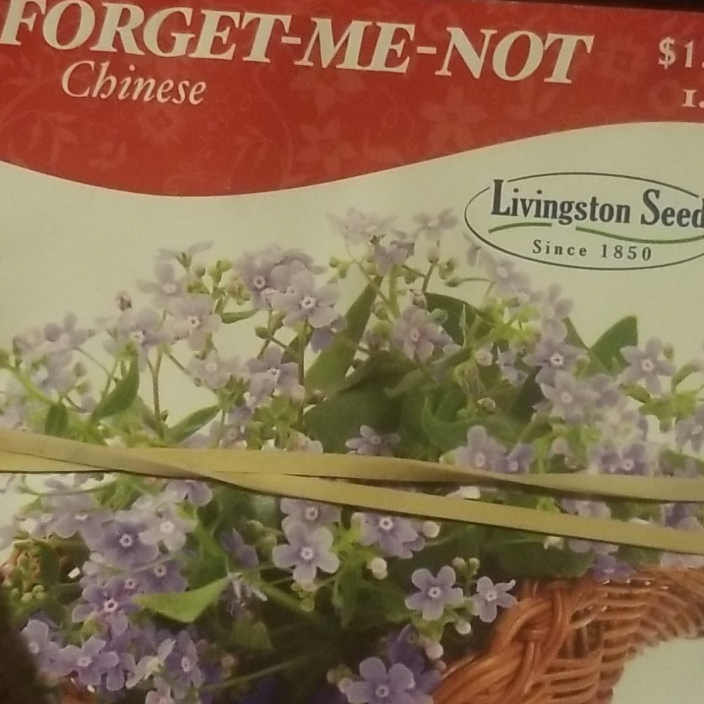 ๐ผ ๐๐ฅ๐๐ Flower pkg w/ purchase๐ฆ๐ - Picture 9 of 16